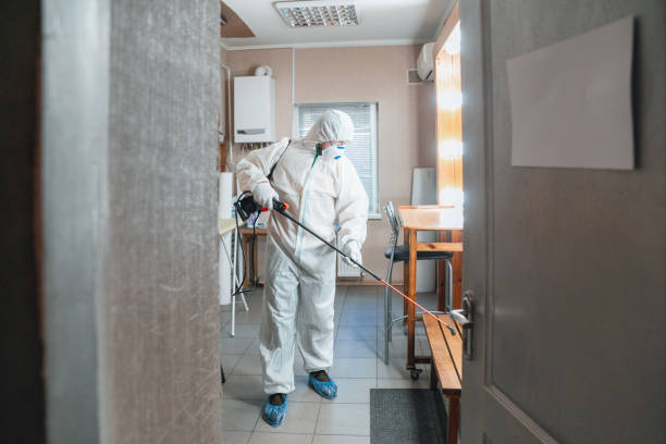 Best Commercial Mold Inspection  in Millville, NJ